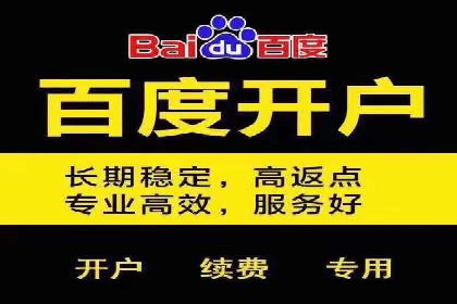 某公司SEM推广的失败教训与成功经验